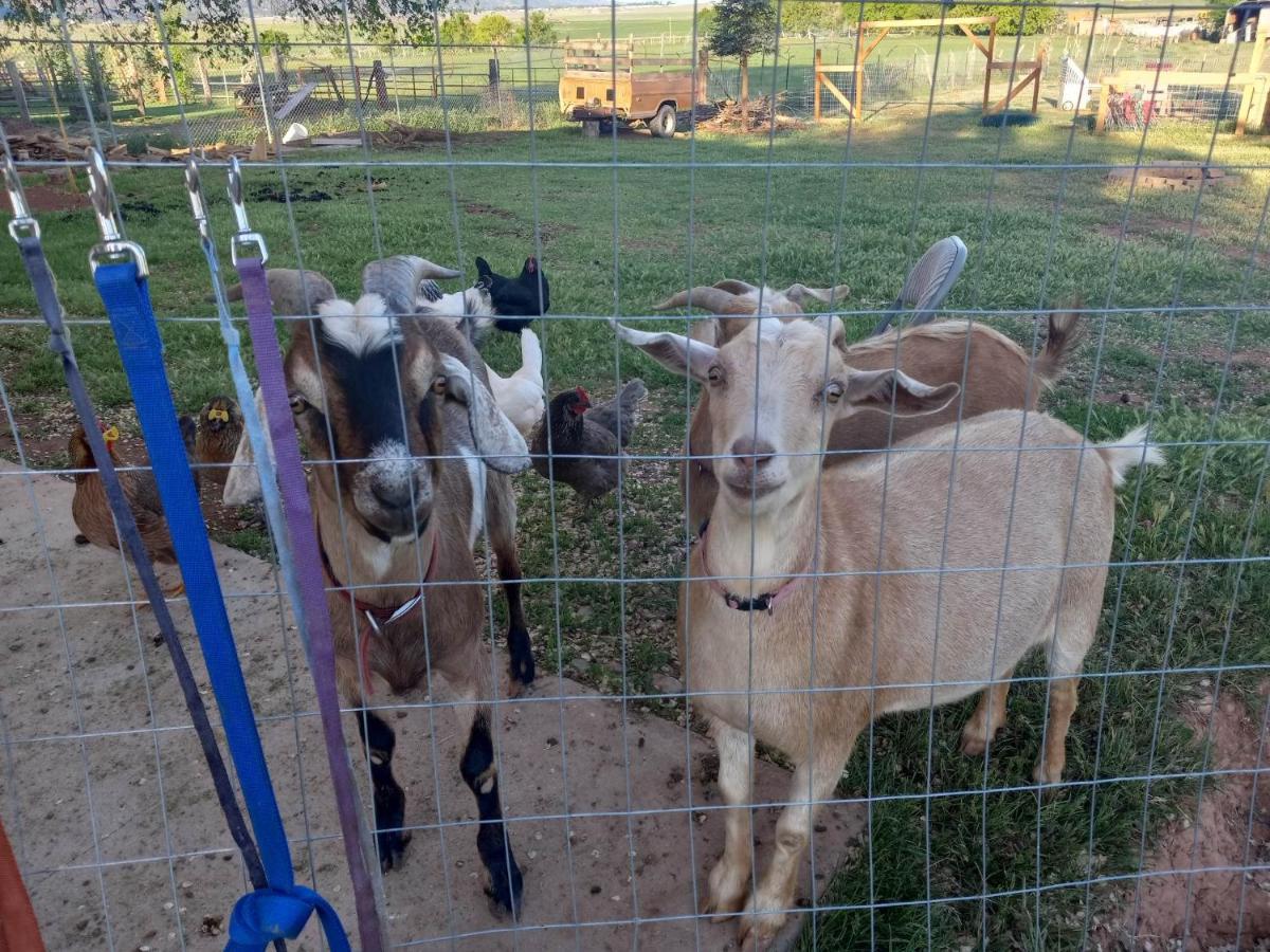 Parowan Red Creek Inn And Farm المظهر الخارجي الصورة